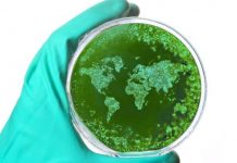 Emiten alerta epidemiológica en India por brote del virus Nipah