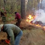 incendio malinche