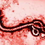 EBOLA