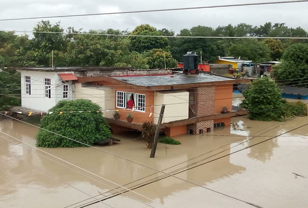 álamo