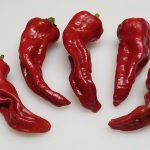 ChilesChimayo6-2018-1