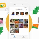 gallery-go-de-google