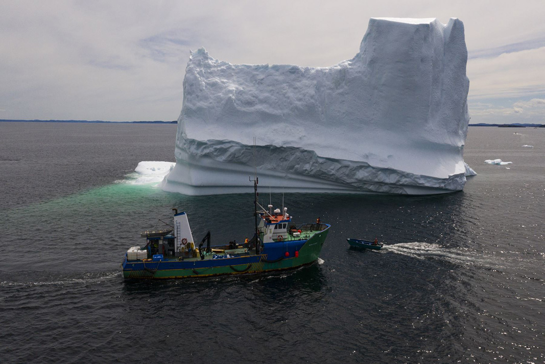 cazadores de iceberg