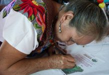 La ONU critica la parcialidad de la consulta sobre el Tren Maya, el proyecto estrella de López Obrador