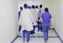 Nahle descarta crisis de salud en Veracruz y respalda a Ramos Alor