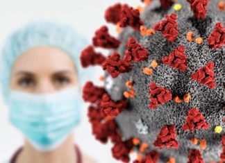 Cinco años de covid: De un tsunami imparable a un virus respiratorio más y “bajo mínimos”