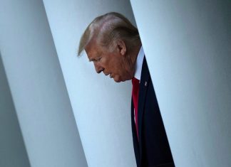 Facebook e Instagram restablecerán las cuentas de Trump tras dos años de suspensión