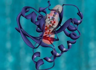 Psicología para afrontar el cáncer de páncreas con “esperanza realista”