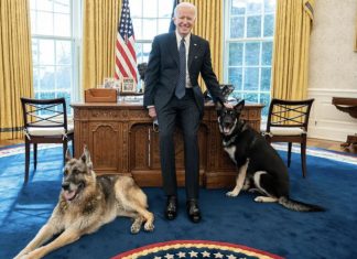 Un perro de Biden muerde a un segundo empleado de la Casa Blanca en un mes