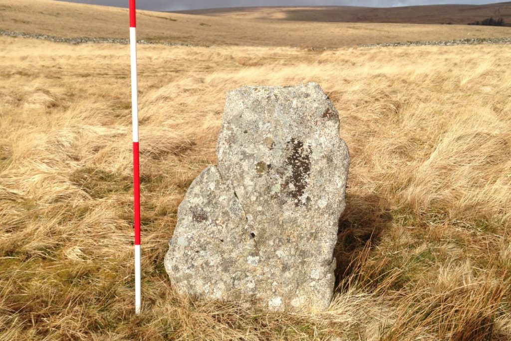 Desentierran en Polonia unas insólitas tumbas neolíticas de hace 5 mil