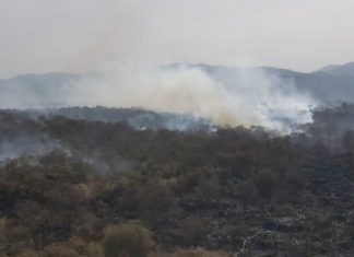 Se ha controlado 80 por ciento del incendio en la colonia Fuentes del Pedregal