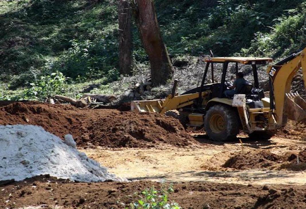 naturalezaconstruccionmedioambiente-focus-0-0-732-549