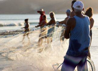 Derrame genera crisis pesquera en Alvarado