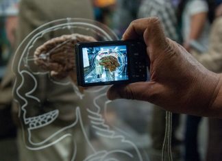 La inteligencia artificial podría descubrir secretos del cerebro humano