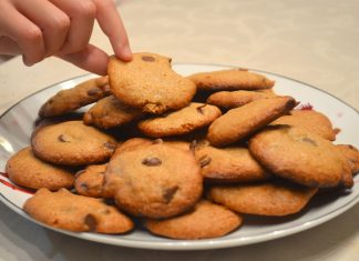 Elaboran galletas nutritivas a partir de desechos plásticos