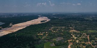 Las chacras de los pueblos indígenas de la Amazonía nutren, curan y enseñan
