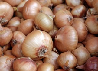 ¿Cuáles son los beneficios de comer cebolla todos los días?