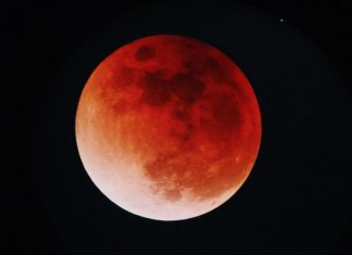 México tendrá la madrugada del viernes el único eclipse visible de 2025