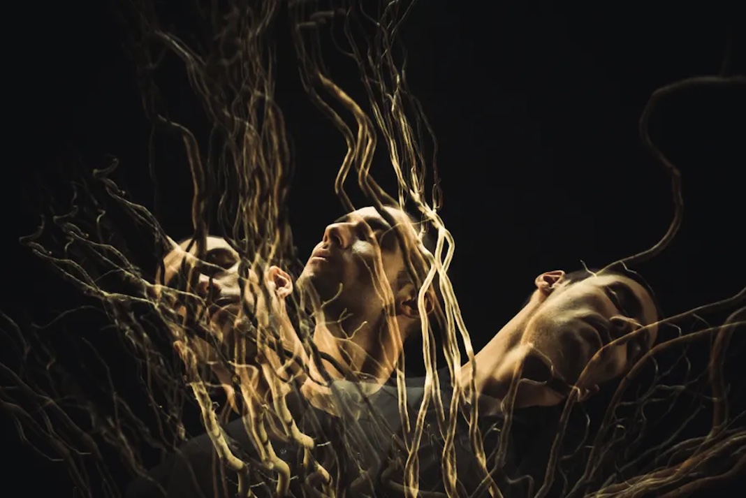 homenaje-participan-artistas-interdisciplinarios-foto