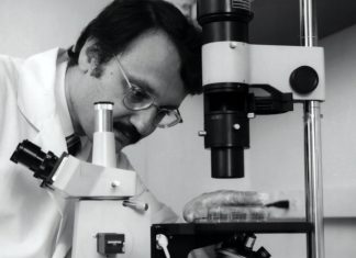 El mayor estudio sobre parásitos marinos revela una extinción masiva