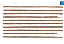 Conoce los verdaderos beneficios para la salud del bambú