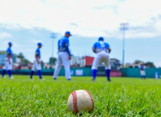 El año de ensueño del béisbol mexicano, un trabajo deportivo y mercadológico