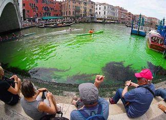 Agua del Gran Canal de Venecia se tiñe de un misterioso verde fluorescente