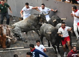 Al menos 4 heridos en el segundo encierro de las fiestas de San Fermín