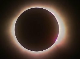El cerebro secuestra nuestra atención al observar un eclipse