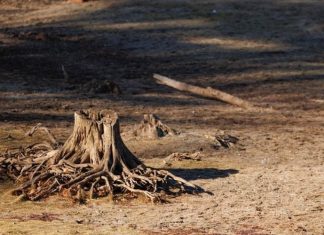 “El Niño” se intensificará rápidamente: ONU