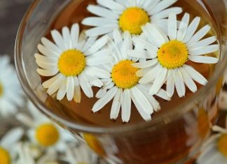 Descubren un escudo inesperado contra el sedentarismo