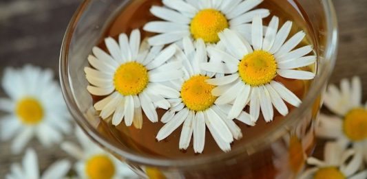 Descubren un escudo inesperado contra el sedentarismo