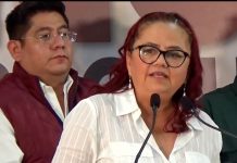 Daniela Griego aventaja en la elección municipal de Xalapa