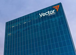 Vector e Intercam dejaron de operar: ABM
