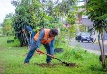 Celebrará Xalapa Día del Medio Ambiente con jornada de reforestación