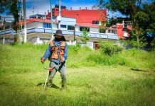 Realizan Jornada Comunitaria de Mantenimiento de Áreas Verdes