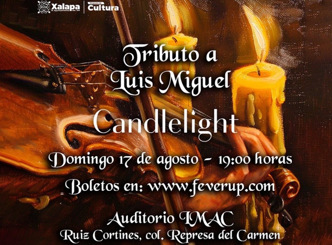 Ayuntamiento Cultura