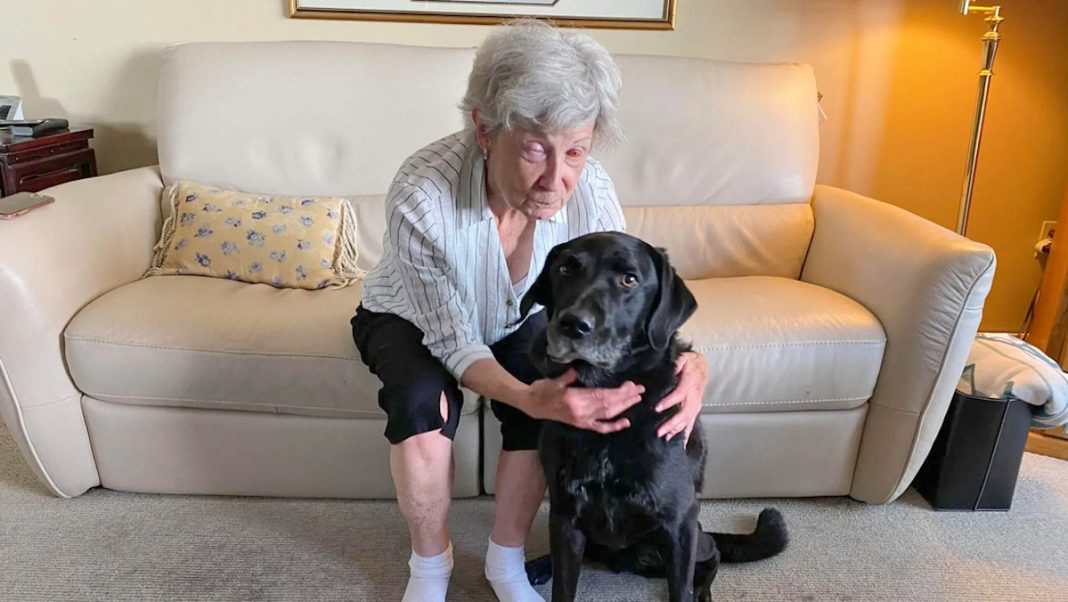 Gail Lane Vista Cirugia