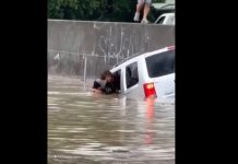 Rescata a una mujer de una inundación y su heroísmo se hace viral (VIDEO)