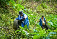 Realiza Ayuntamiento jornada de descacharrización en la colonia Reforma