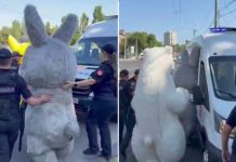 “¡Libertad para Pokémon!”. Policía arresta a Labubu, Pikachu y un ‘oso’ (VIDEO)