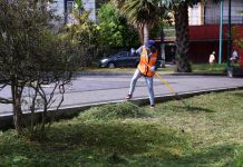 Realiza Ayuntamiento Jornada Comunitaria de Mantenimiento de Áreas Verdes
