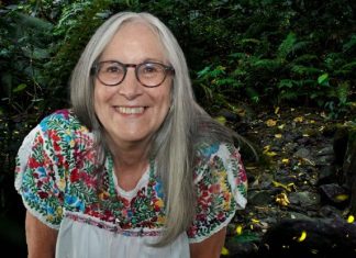 Así es la luciérnaga que fue nombrada Julieta Fierro en honor a la científica