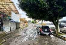 Tras lluvias, Xalapa reporta 78 deslizamientos y más de 350 viviendas afectadas