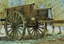 La carreta vacía de la política veracruzana