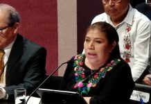 Veracruz: Cultura en modo espectáculo de cuarta; gobierno presume una maquinaria de autoaplausos