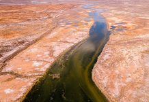 Trump implementa estrategia para romper Tratado de Aguas con México