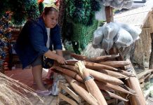 La flor de coco, el símbolo de la cultura guaraní que perfuma la Navidad en Paraguay