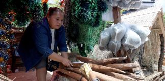 La flor de coco, el símbolo de la cultura guaraní que perfuma la Navidad en Paraguay