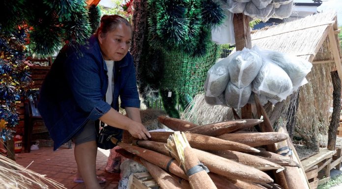 La flor de coco, el símbolo de la cultura guaraní que perfuma la Navidad en Paraguay